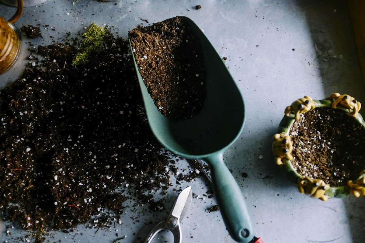 A garden trowel and a small pot on a bench, with potting soil spilled beside them